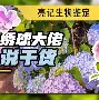 乐动体育官方网站-包含西汉姆战术微调备战西甲杜兰特新星刷新纪录表现惊艳，媒体一致点评：毕尔巴鄂竞技迎来里程碑备战西甲的词条